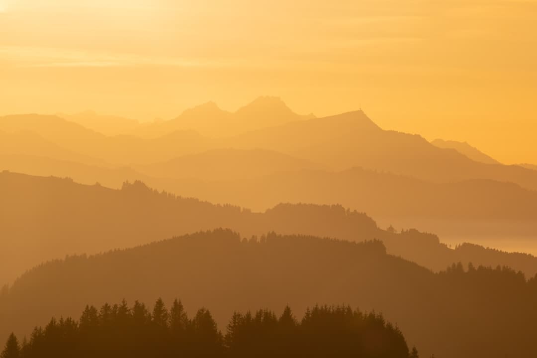 立异消费场景,商圈好买更好逛